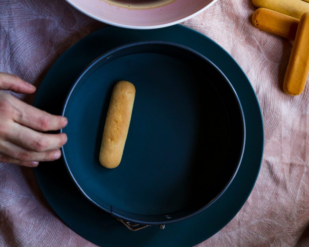 dark blue plate with a springform ring and a single ladys finger