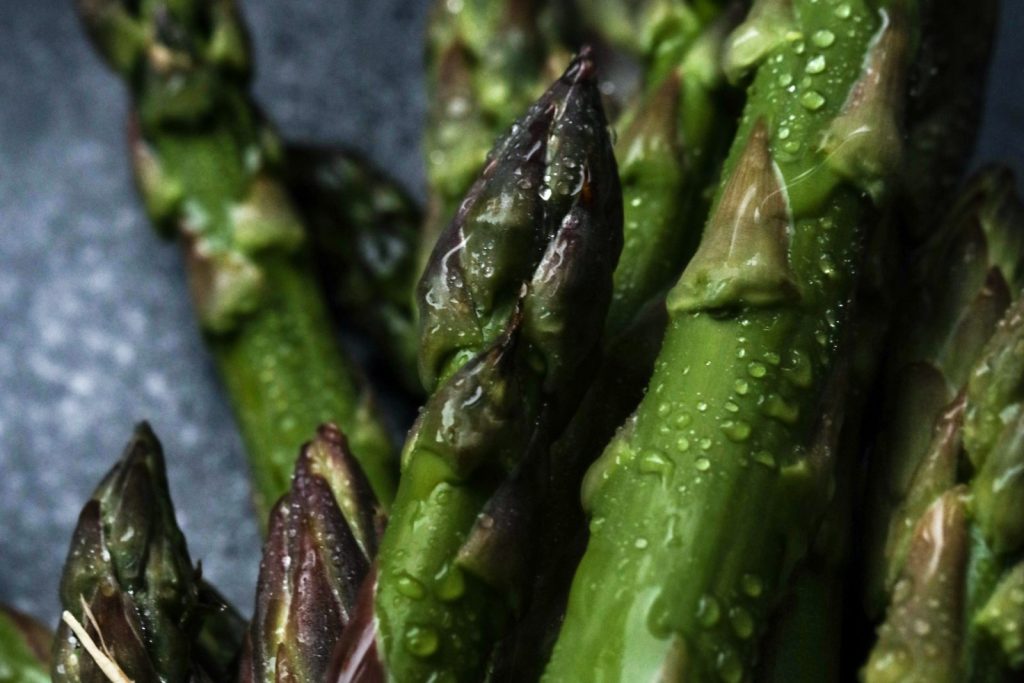 green asparagus with water drops on a dark background