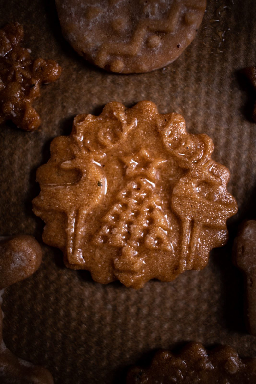 Speculoos Gingerbread Cookies with brown butter maple glaze